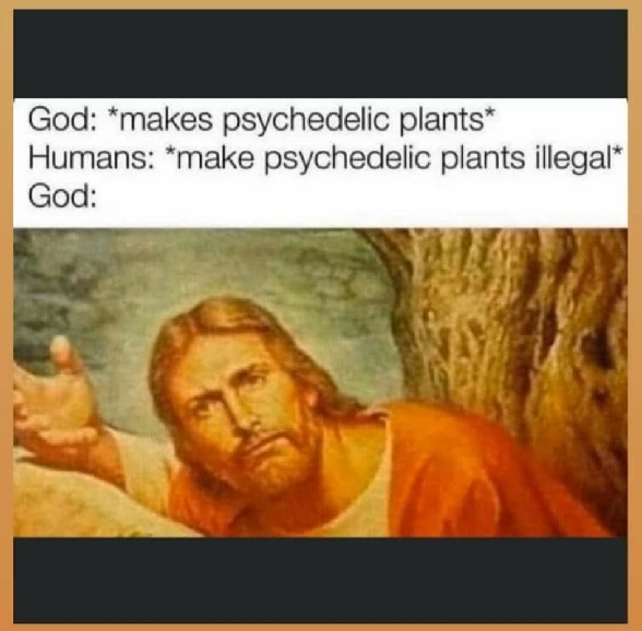 [Image: Jesus-plants.jpg]