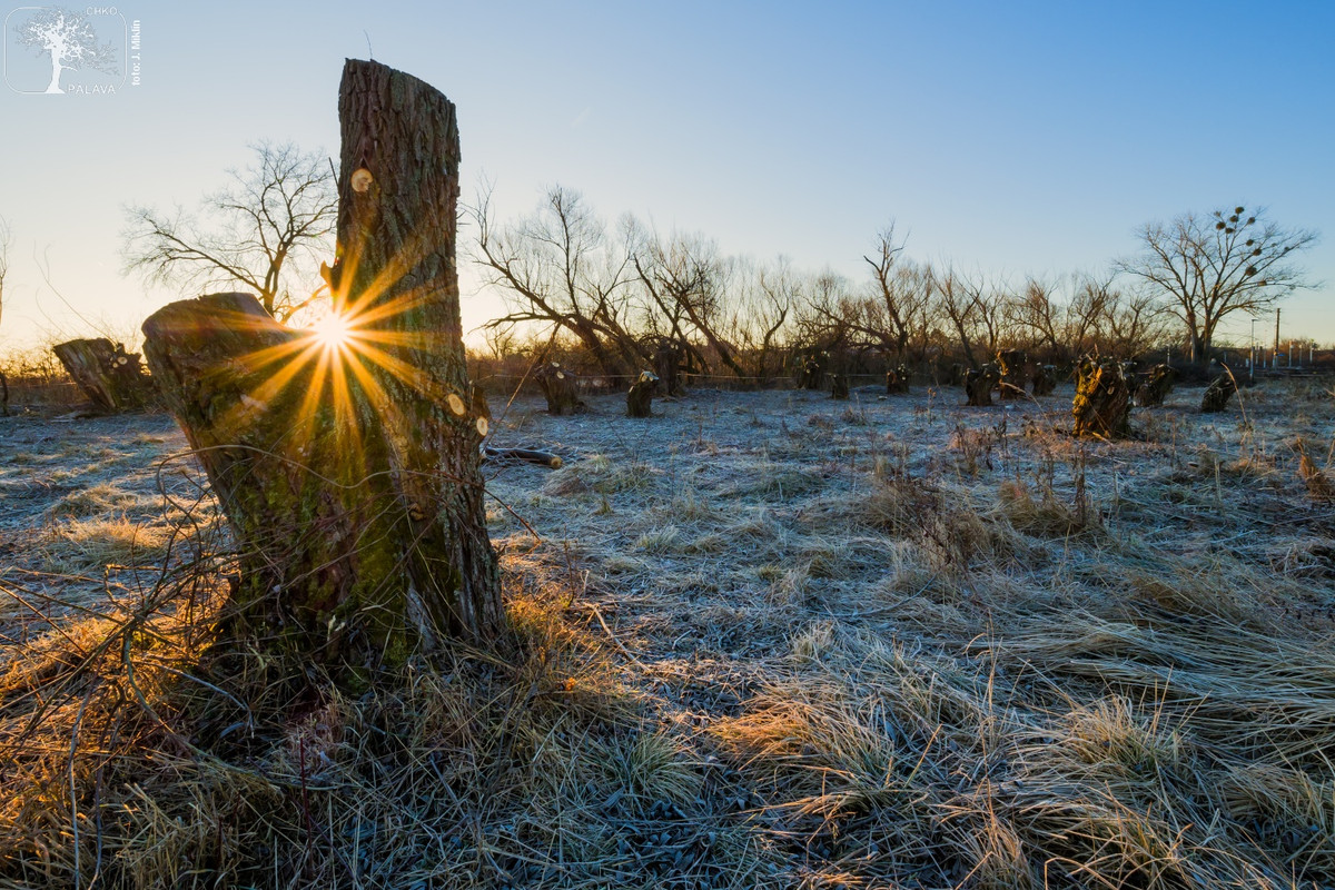 272062891_2073892829439125_3475904895252144828_n