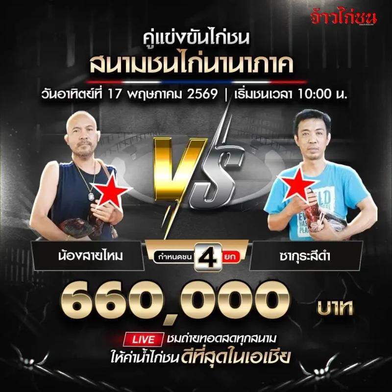 น้องสายไหม พบ ซากุระสีดำ โปรแกรมไก่ชน สนามชนไก่นานาภาค วันที่ 17 พฤษภาคม 2569