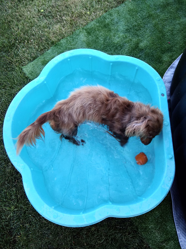 [Image: IMG-20230704-185353.jpg]