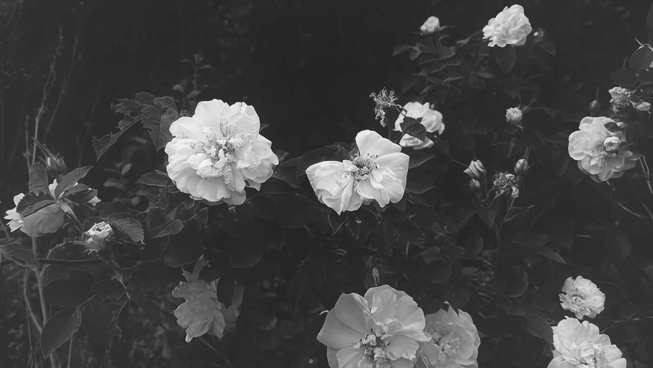 Airbrush IMAGE ENHANCER 1771044851261 1771044851261