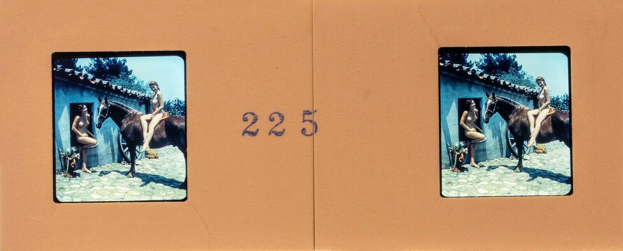 NUDE 225b