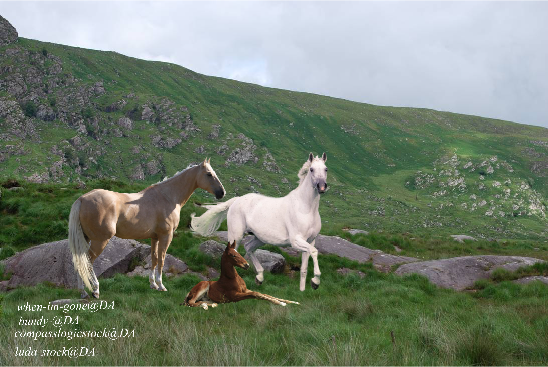 19E67EBC-9270-4AB8-AF84-D49E7D49E4E5