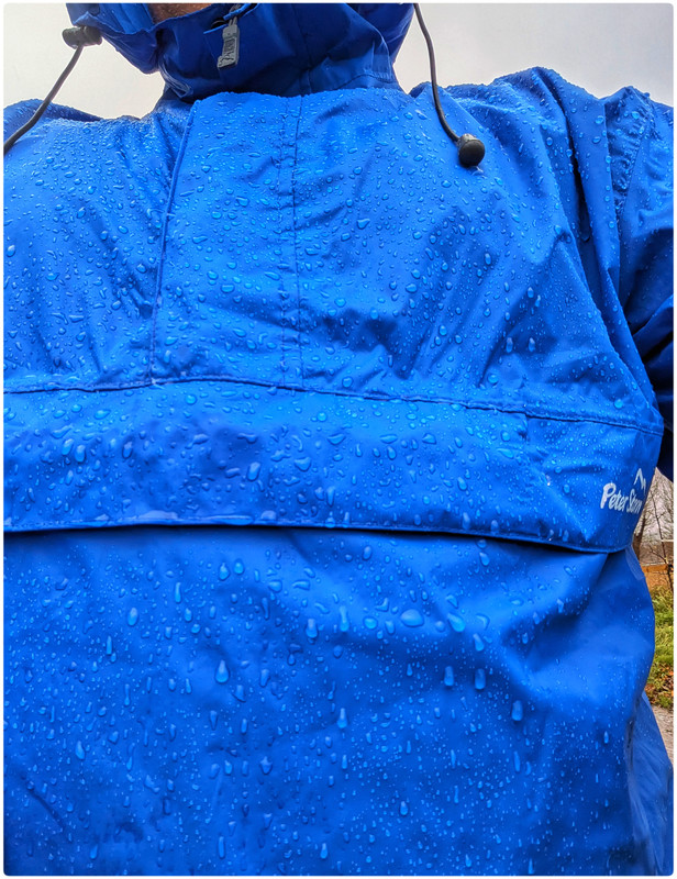 PXL 20251123 112310909