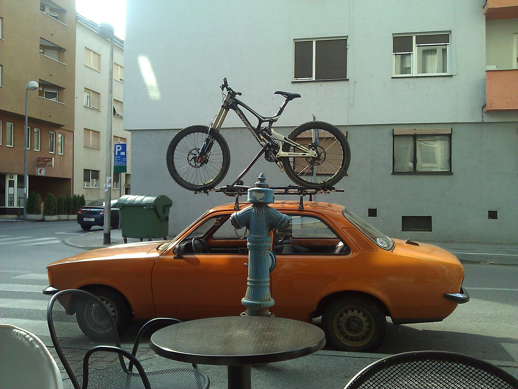 kadett
