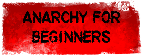 Anarchy for Beginners