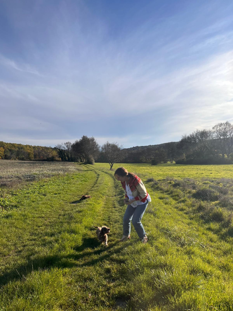 [Image: IMG-20241113-074603.png]