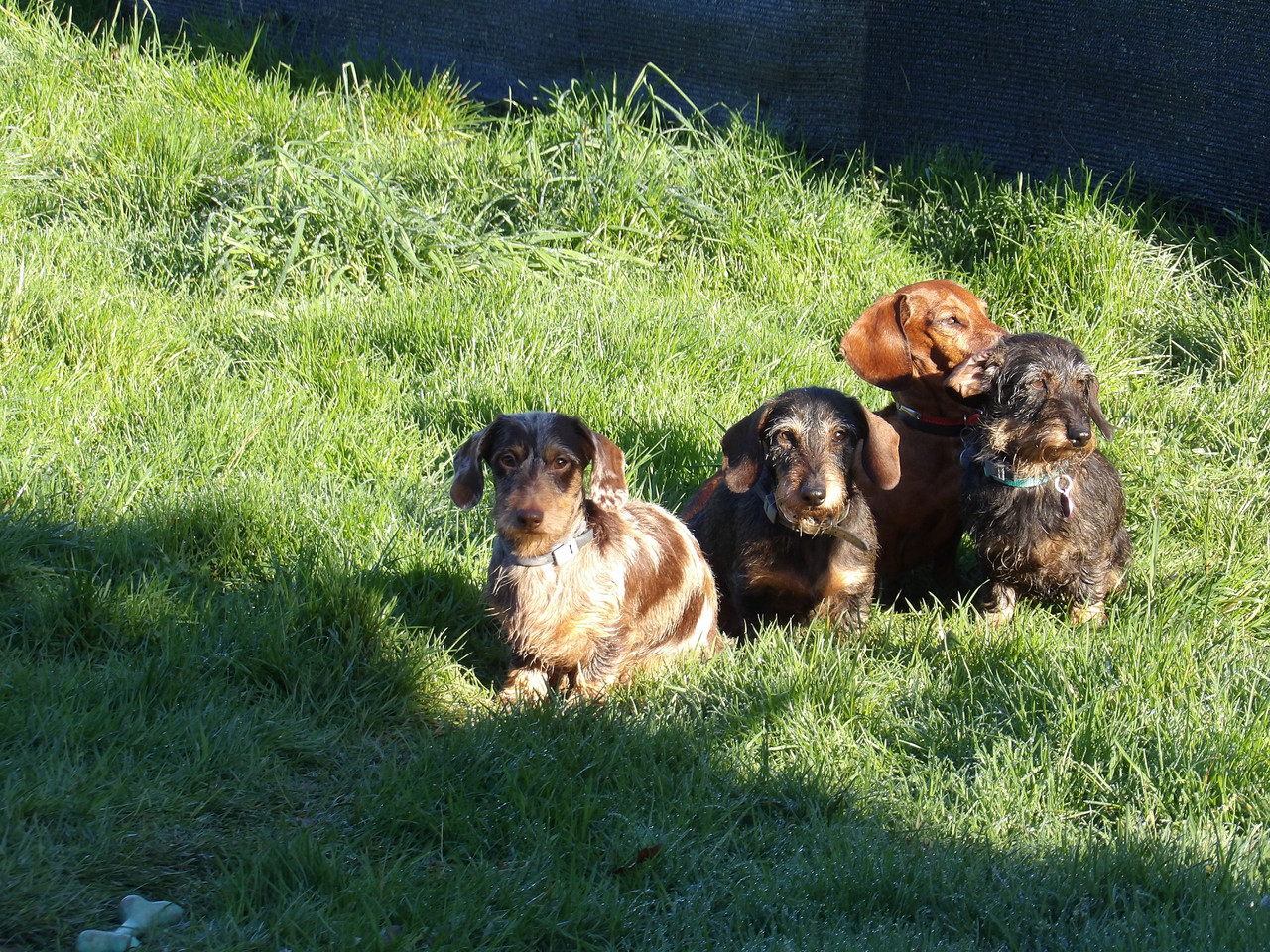 [Image: 125-0677.jpg]