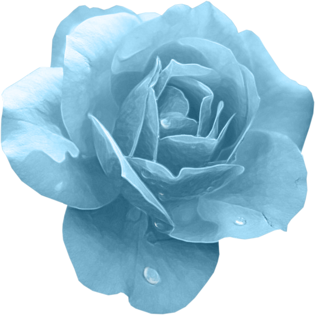 GlamourGirl_MM_Element (134)