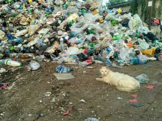 Бьянка_островец