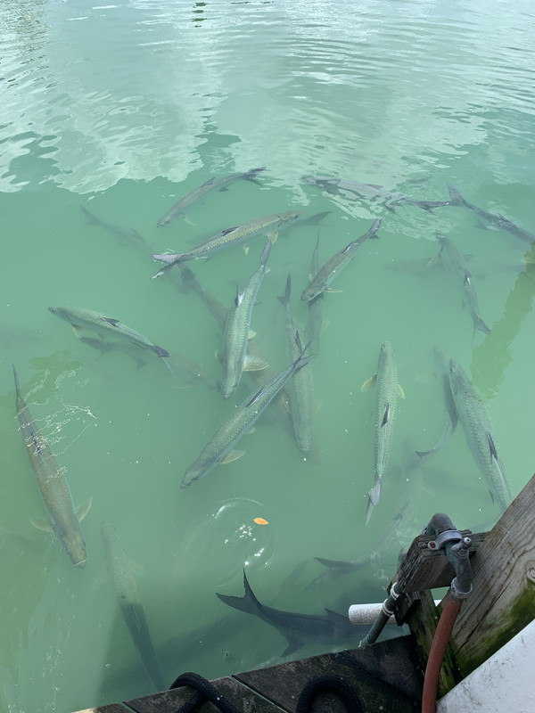 305494C3-3B86-4518-8333-ABE0F0303702