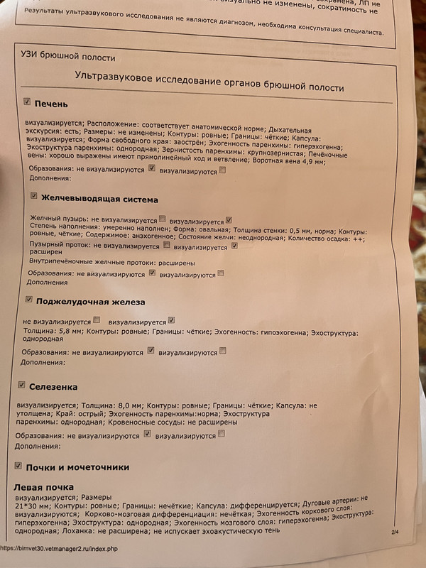 3B776286-F932-40D6-AE35-134F2F9DB41E