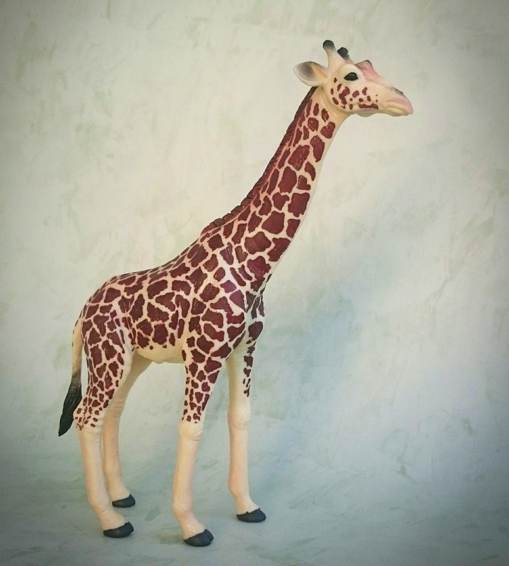 mojo - Mojo 2020 - Masai Giraffe 20200627-130729