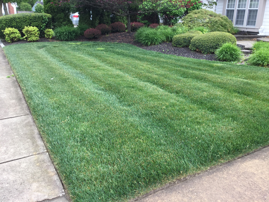 E249851B-E4CF-49AA-81A3-B923C66A72BB