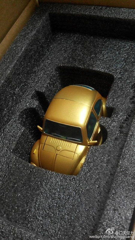 12191440_909483682471375_6519796669281503085_n