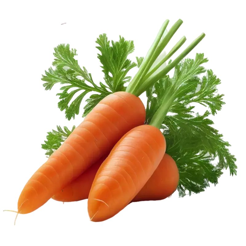 Vegetables