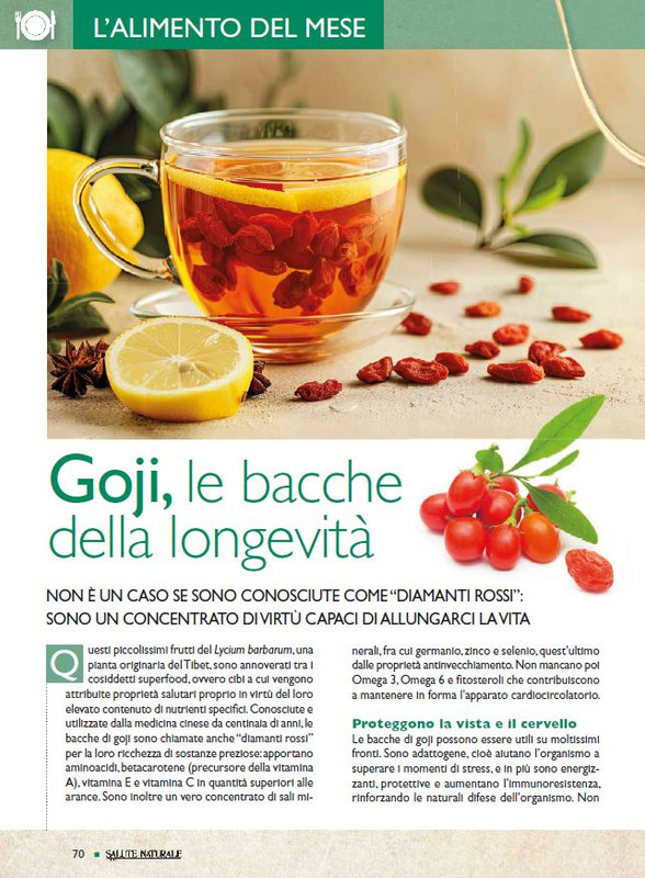 Sal Nat Feb 2025 (7)