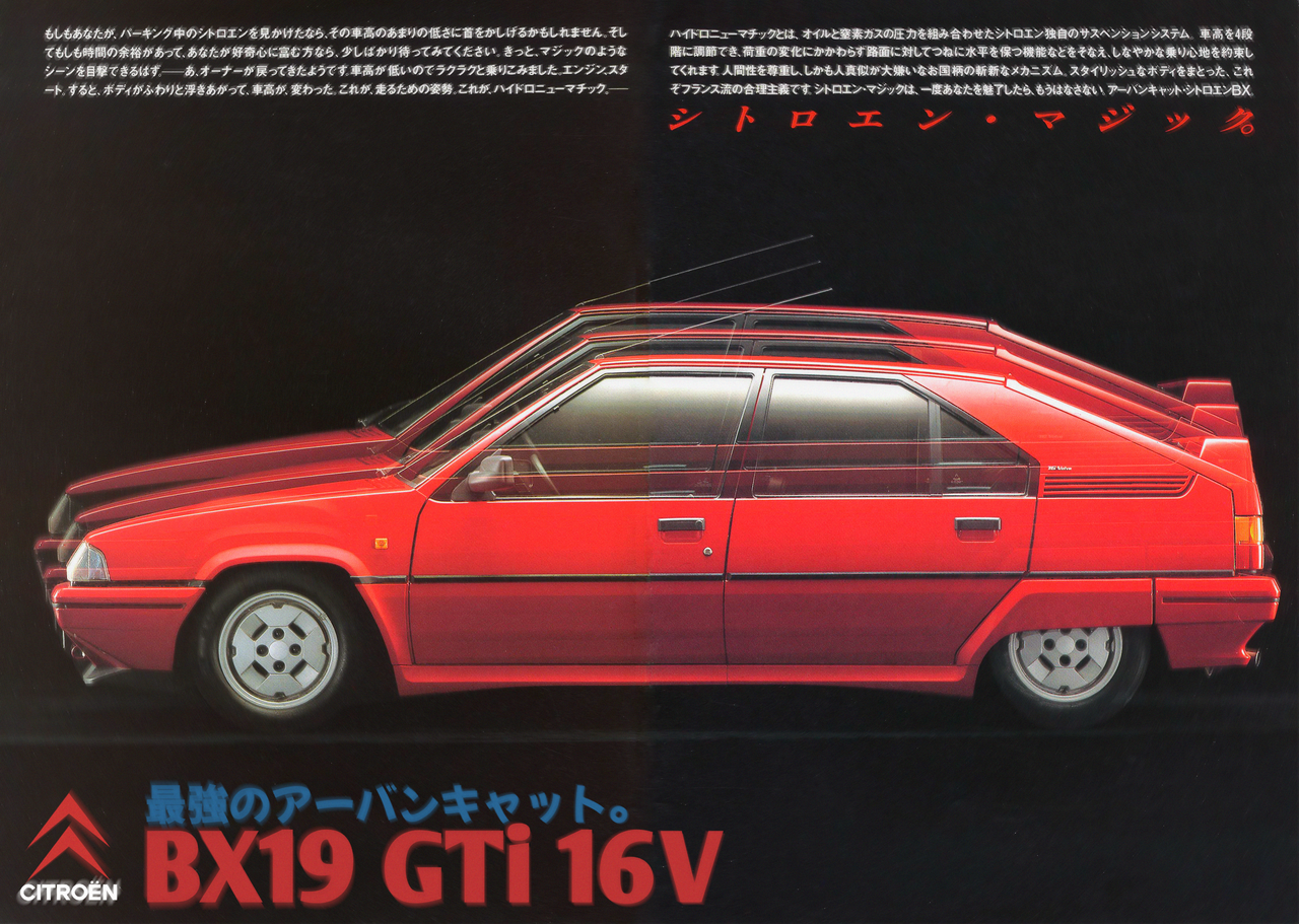 BX19.png