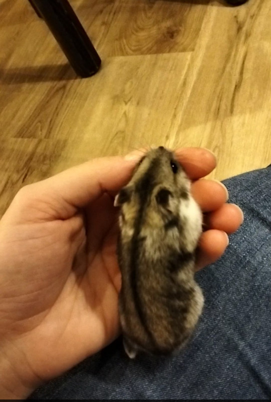 Screenshot 2025 11 05 14 26 01 43 99c04817c0de5652397fc8b56c3b3817