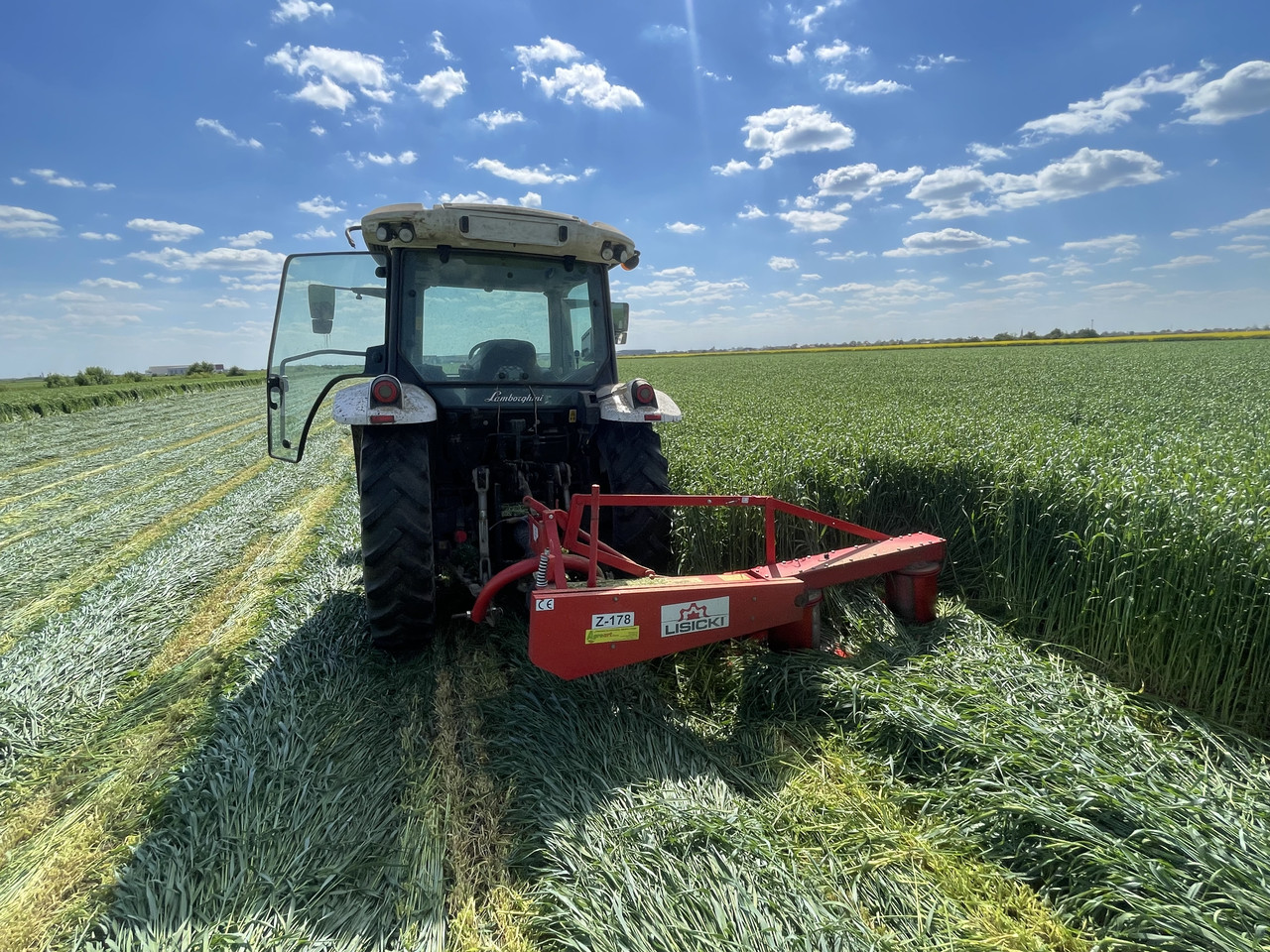 0E72EF01 4C21 4BE0 9922 54829DC41305