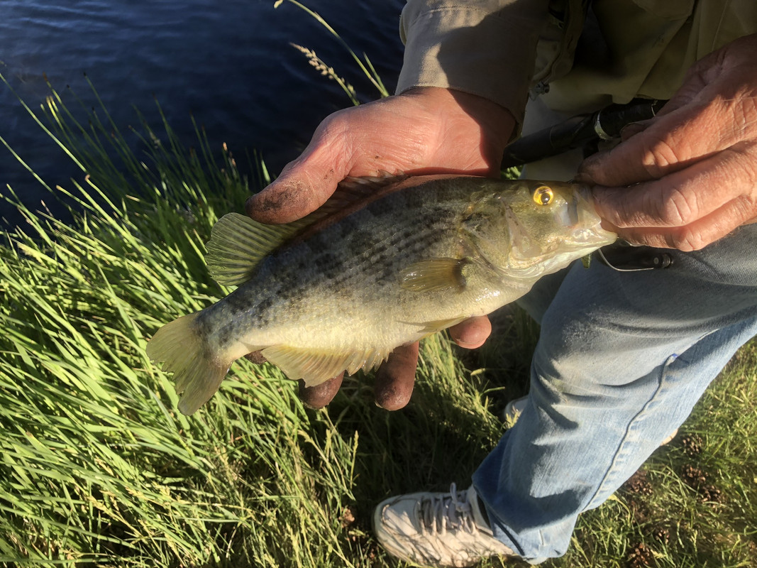 D7652522-E7CB-4E20-B4FC-C2FE90DEBE49