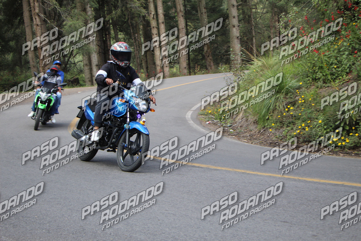 IMG 8944 wm 2482134 8 watermarked — Postimages