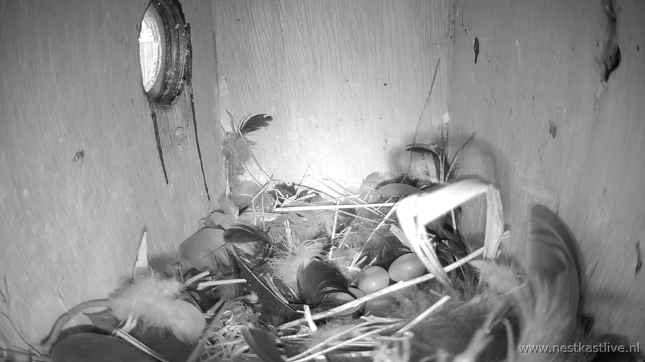 snapshot 2026 04 14T185435 821