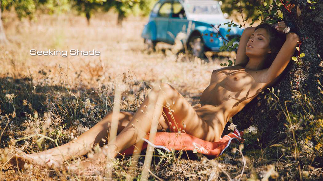 Seeking Shade
