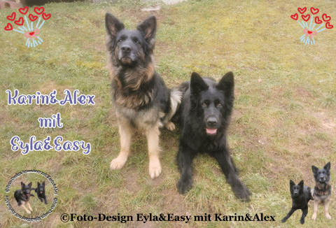 21-02-2025-Gr-e-und-Hallo