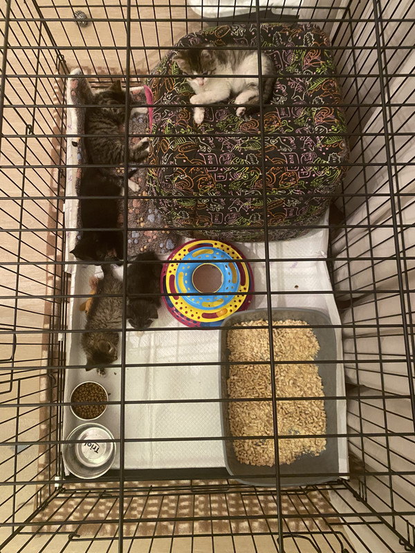 B8084BB6-EFCF-4C37-857D-FD1775A94BFA