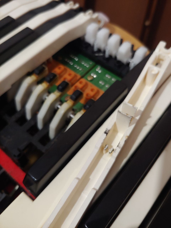 photo_2023-10-23_15-43-27