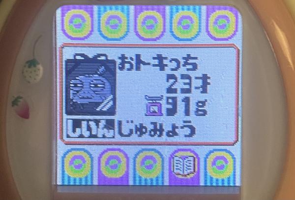 image of a funeral photo of my grandma tama, presumable to be placed on an altar. It also shows her stats: she lived 23 days and weighed 91 units at death