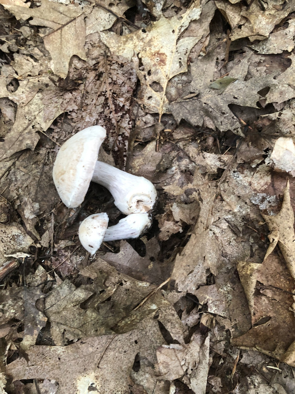 D51A2129-9591-4E6C-8D90-30C43035DAFF