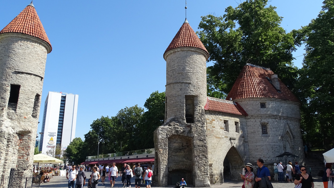 DSC01621-2.jpg