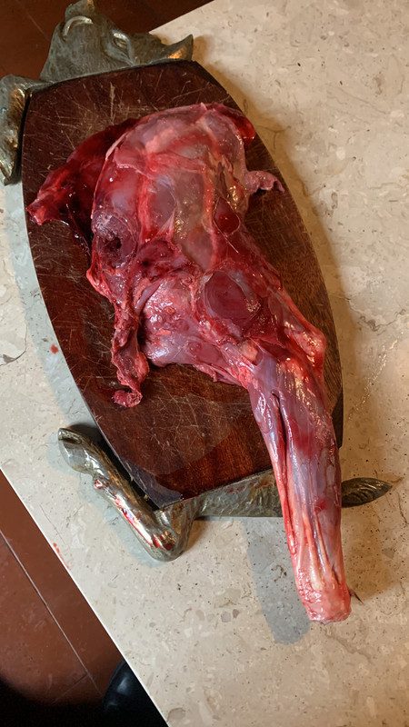 B1A7BB2C-AB01-4D58-B4CF-04AD6EFA730F