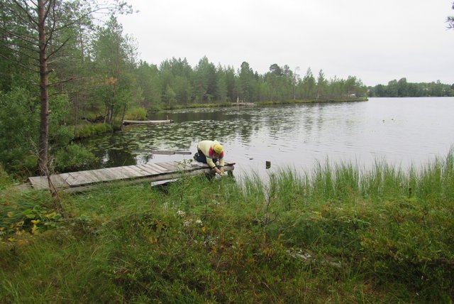 IMG-4238.jpg