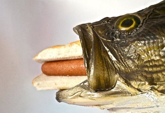 CC79200A-0678-4ABE-A107-E5462529880C