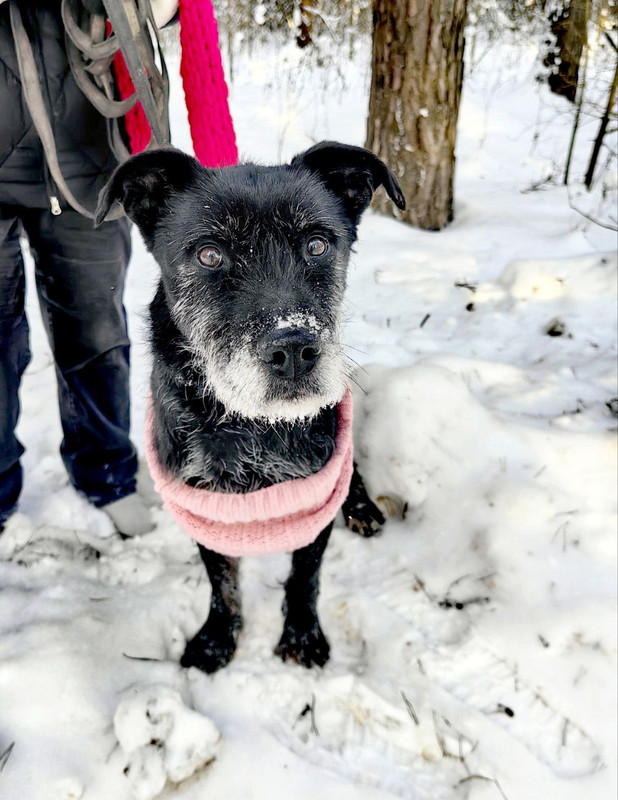 photo 2026 02 11 14 18 14