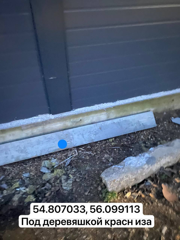 photo 2025 11 17 13 37 58