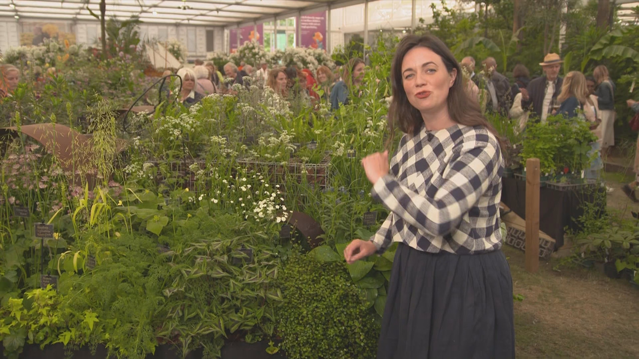 RHS Chelsea Flower Show 2025_20250523_14001500.ts_snapshot_00.07.10.882
