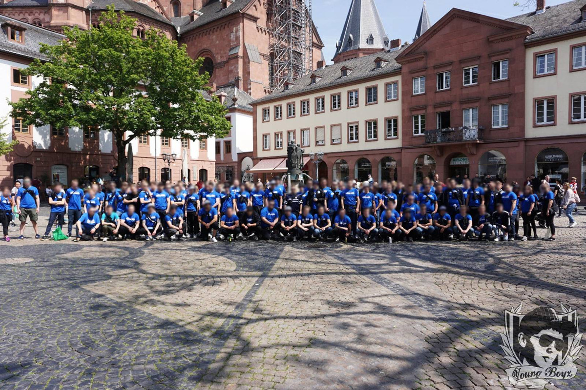 hoffenheim1