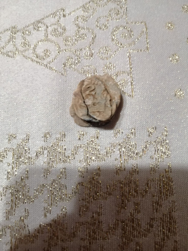 3048CFBB-2FAE-4071-968B-101B0C628B74