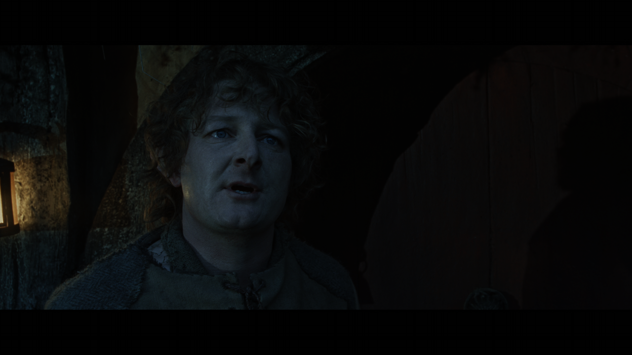 The Lord of the Rings- The Fellowship of the Ring (EXT.) PT. 1.mkv_snapshot_00.34.43_[2020.12.05_21.