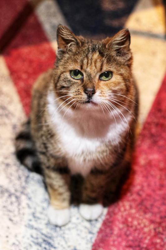 085A45EF-00E5-4598-9F4D-A127CAF2BE44