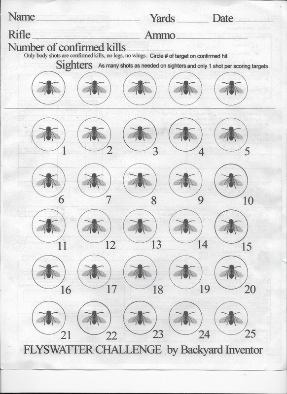 fly target 001