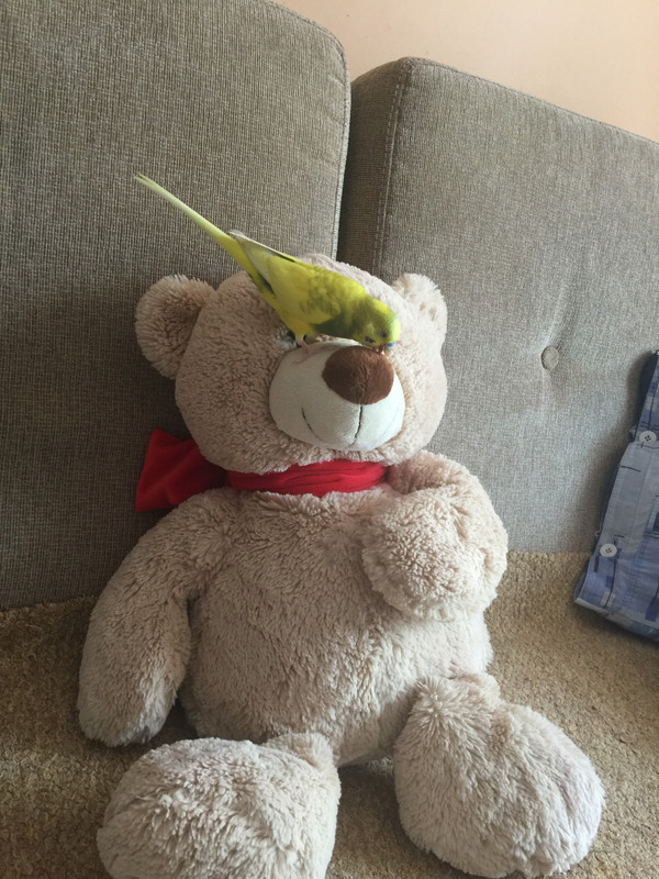 2AB56916-0FE6-45F7-99A9-D3782F409DDD