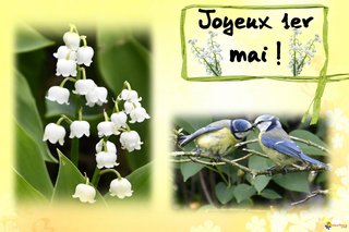 Infos - Page 10 Joyeux-1er-mai-2020-visoflora-124504-1