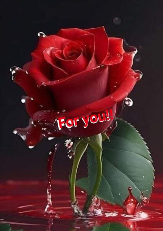 FB-IMG-1765720906601
