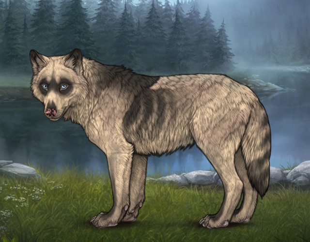 Chased Wolf Spotting!!! |:| Wolvden