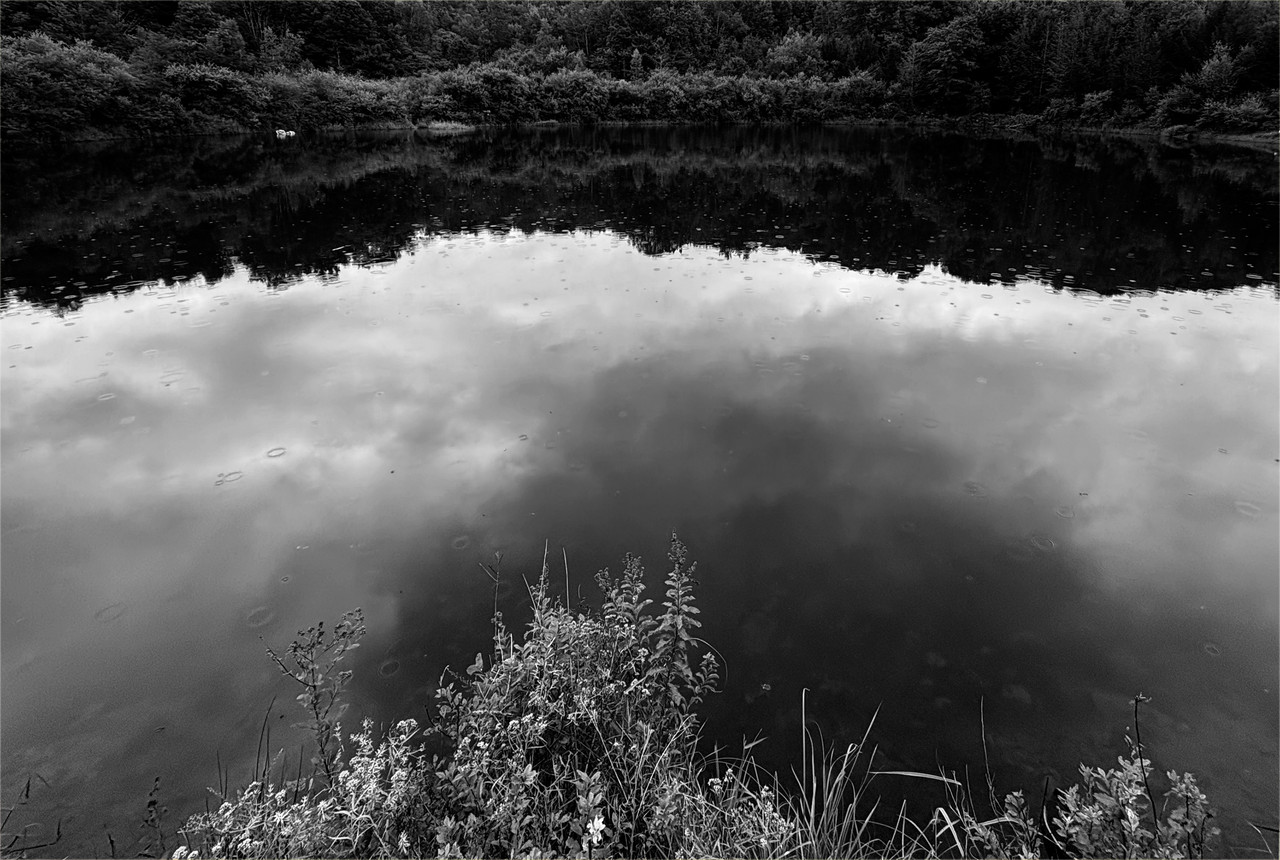August-31-26bw